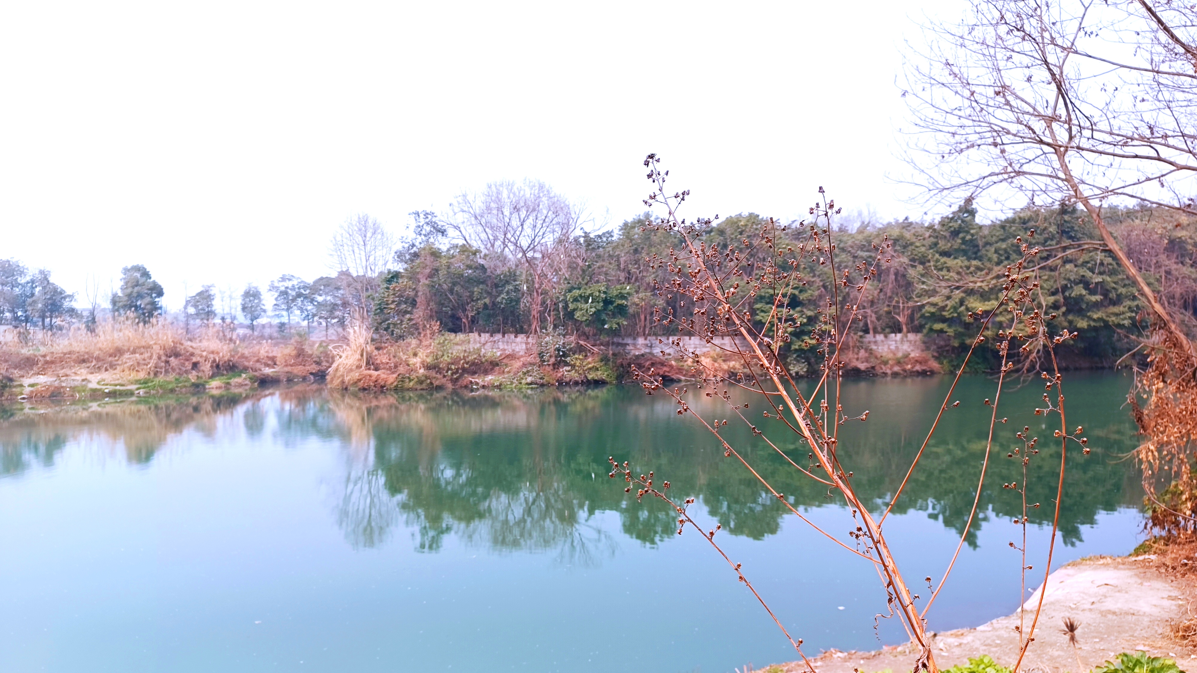 新都区白鹤岛,没想到在这里还有一个名副其实的岛屿,在白鹤岛牌坊的