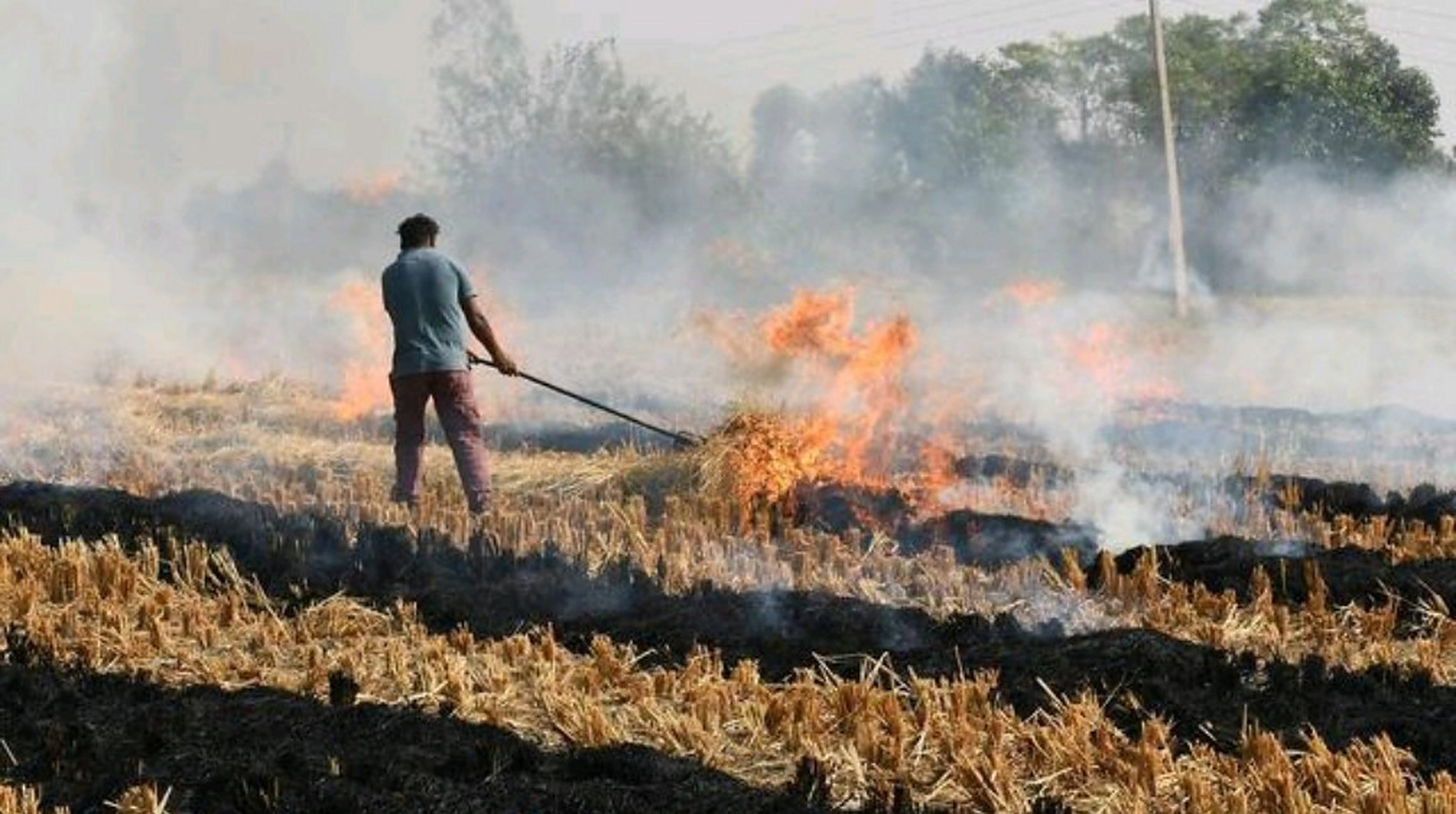 3万元,焚烧秸秆会收到这样天价罚款?