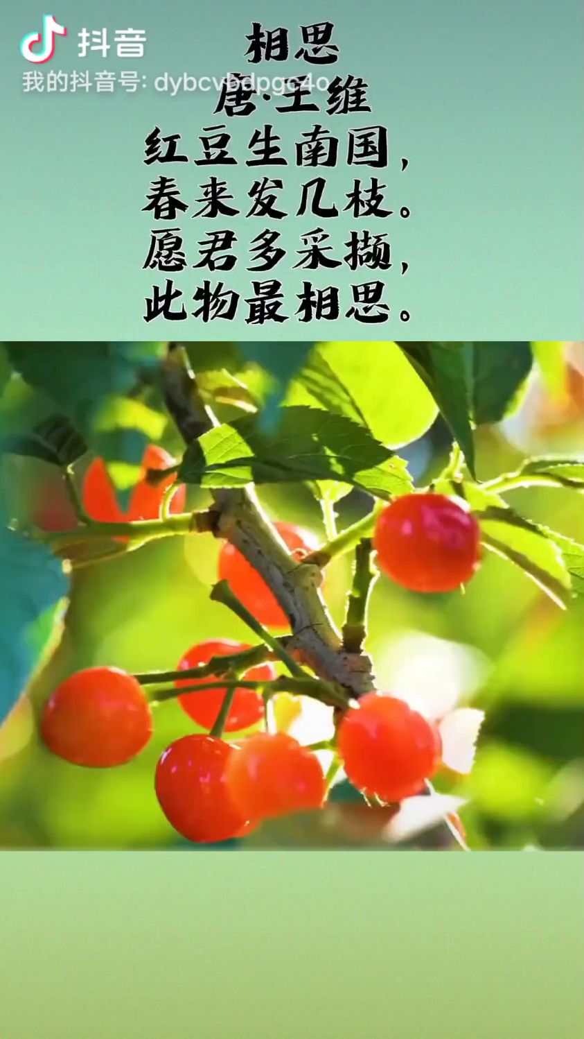 愿君多采撷,此物最相思.