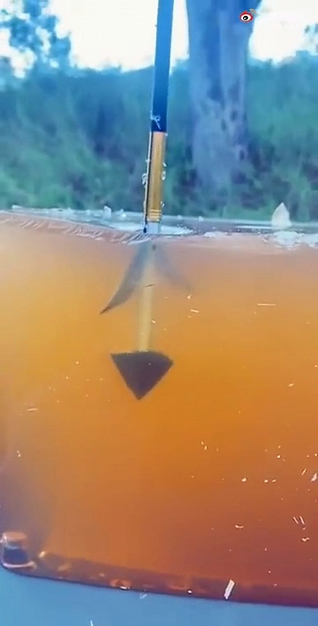 东厂发明的犬齿倒钩箭 东厂发明的犬齿倒钩箭,一旦中箭就无法取出