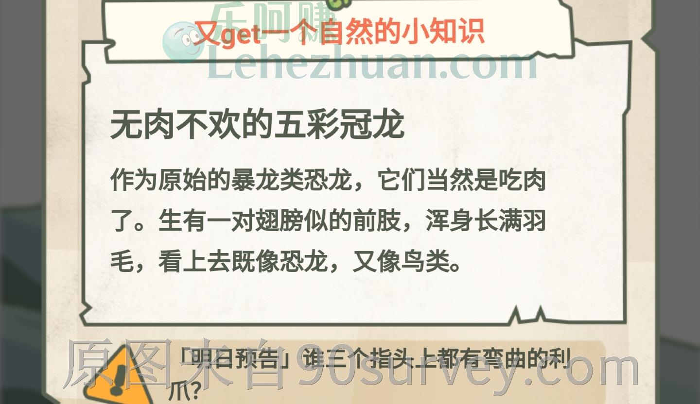 无肉不欢的五彩冠龙 无肉不欢的五彩冠龙