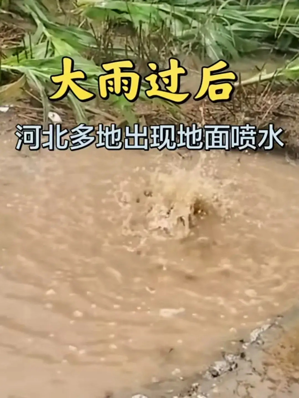 是太渴了喝完水后打嗝了?这算是大自然的自我修复吗 好事坏事?