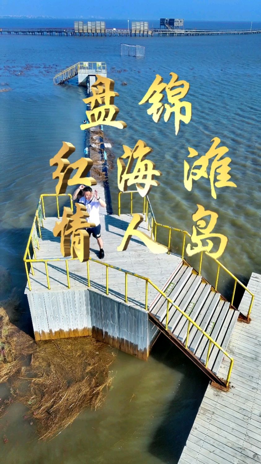 盘锦红海滩国家5a级风景区景点情人岛航拍摄影留念
