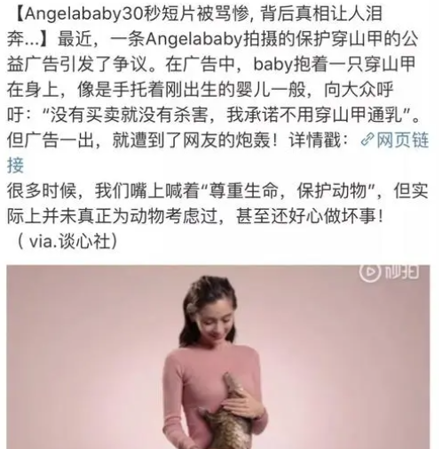 angelababy以前的黑历史图片