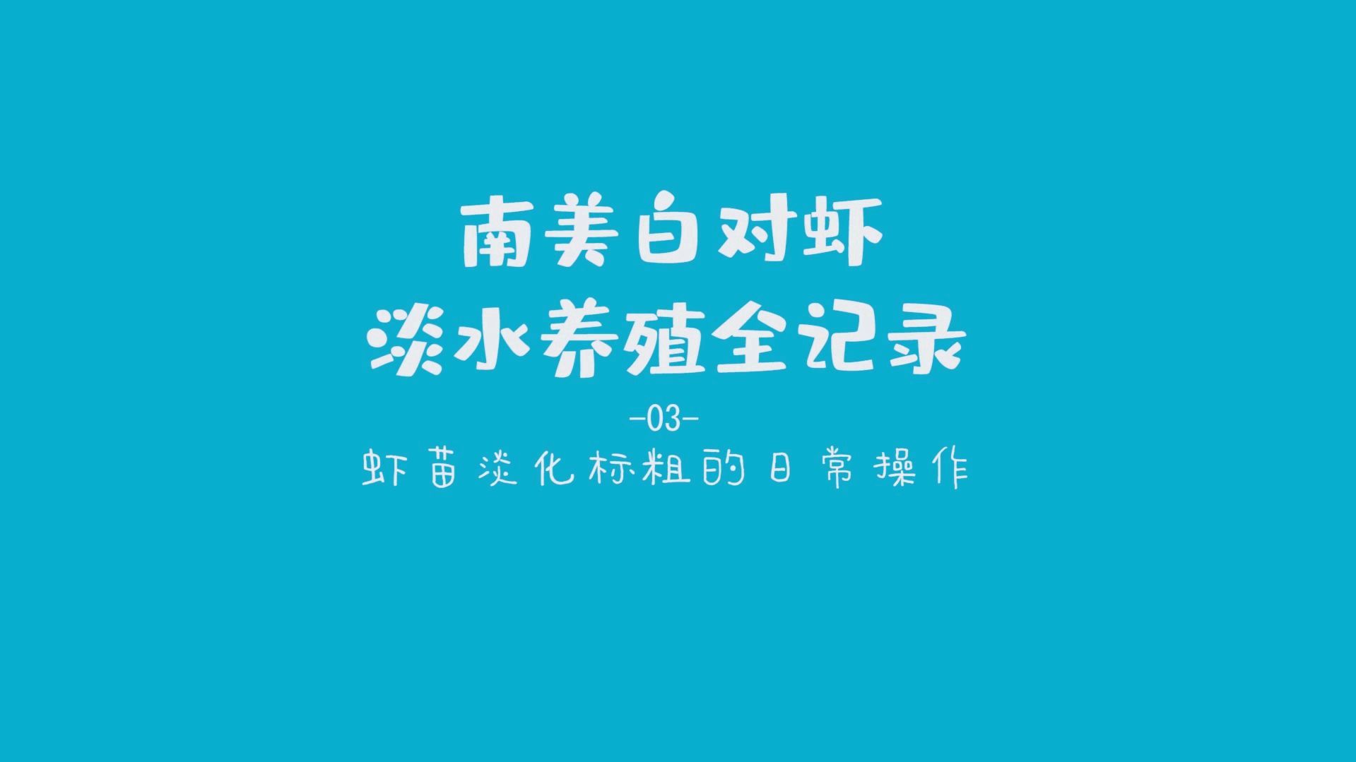南美白对虾如何对虾苗进行淡化标粗