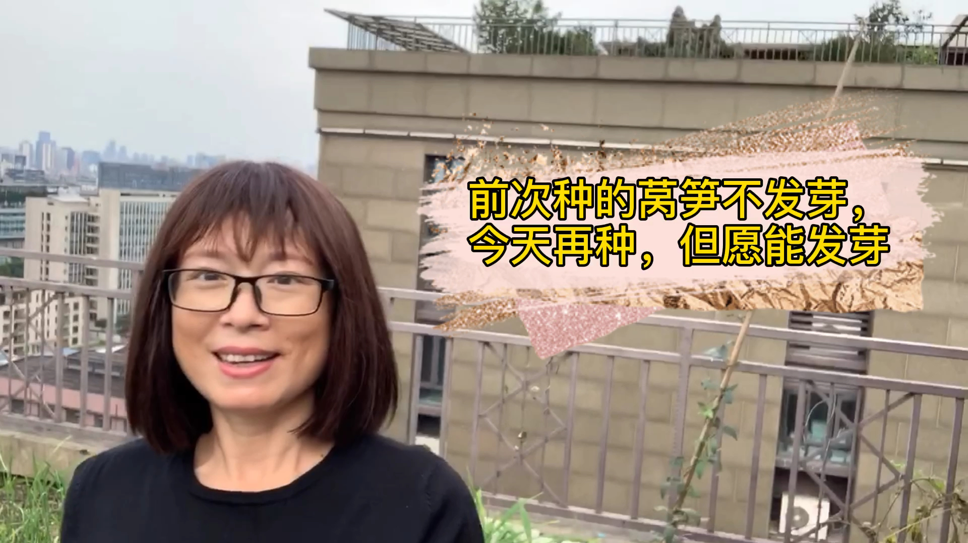 真不明白为什么我前几天种的莴笋老不发芽?今天只有再种了