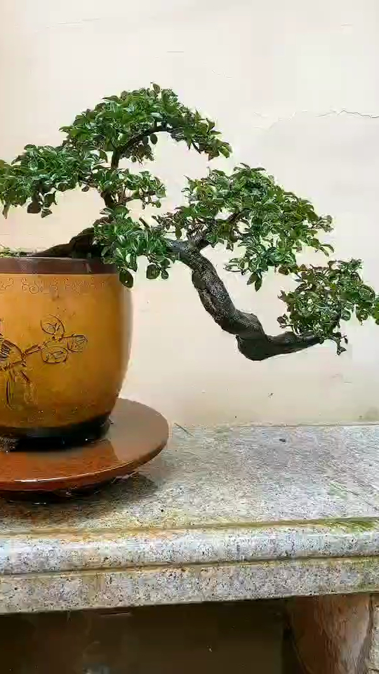 悬崖式的金弹子老师傅的得意之作