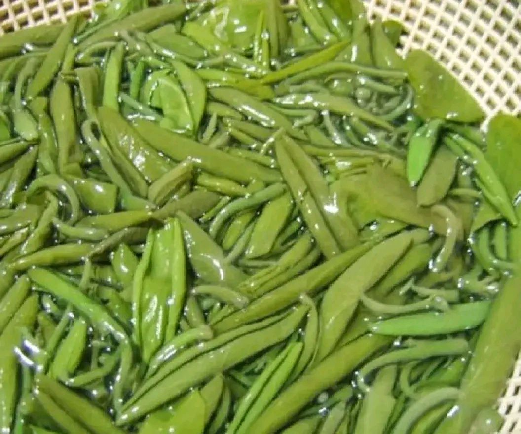 湖北利川特产,莼菜!