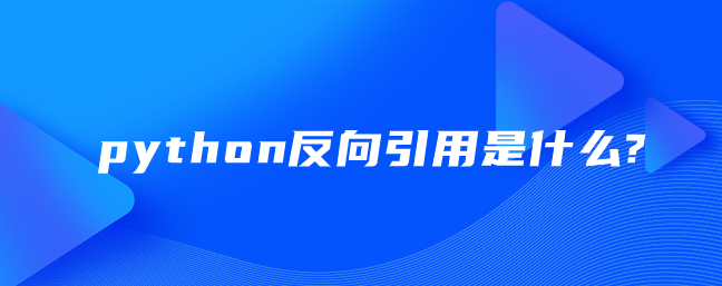 什么是 python 反向引用？