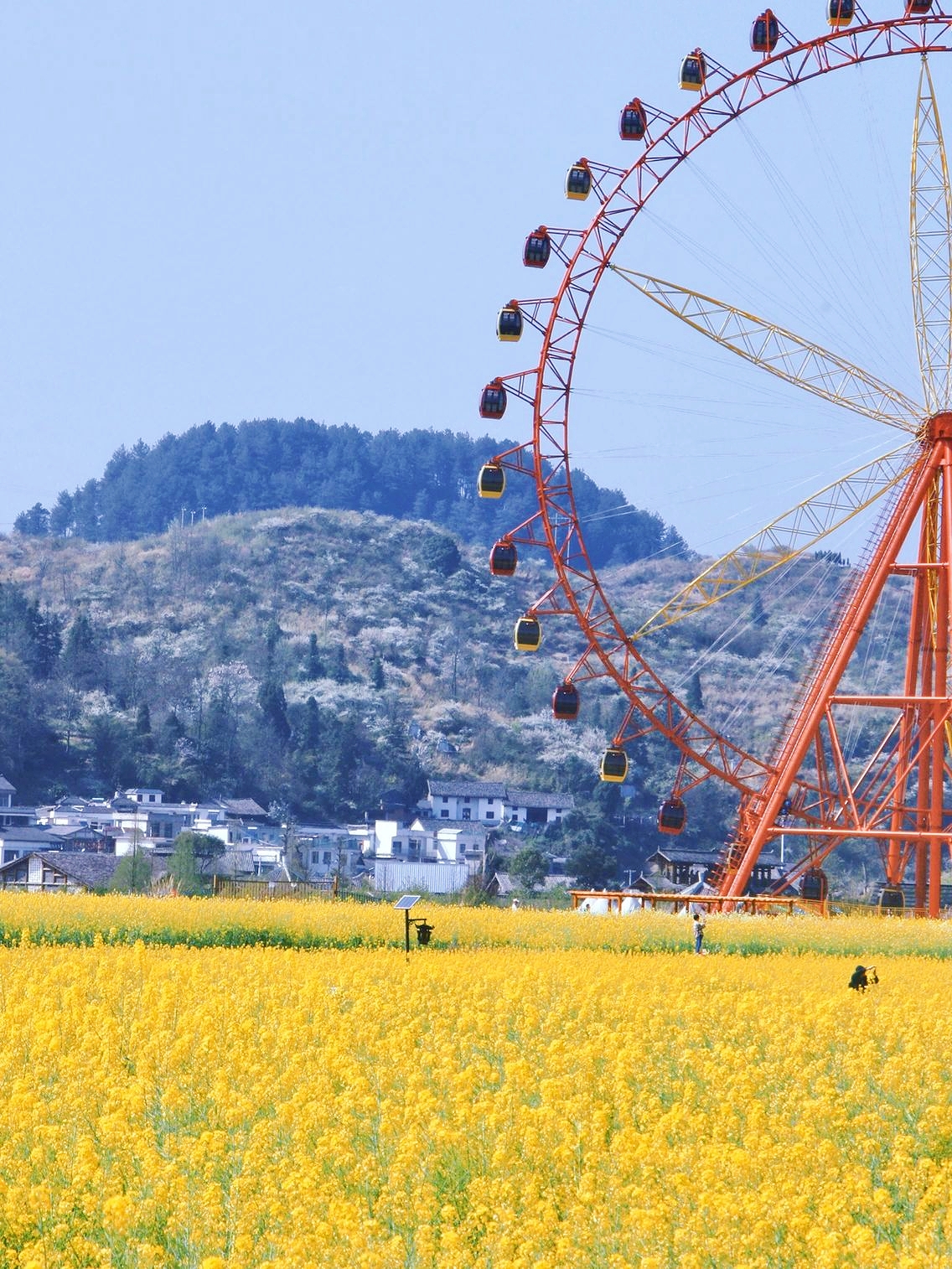 最美"金海雪山",你不可错过!