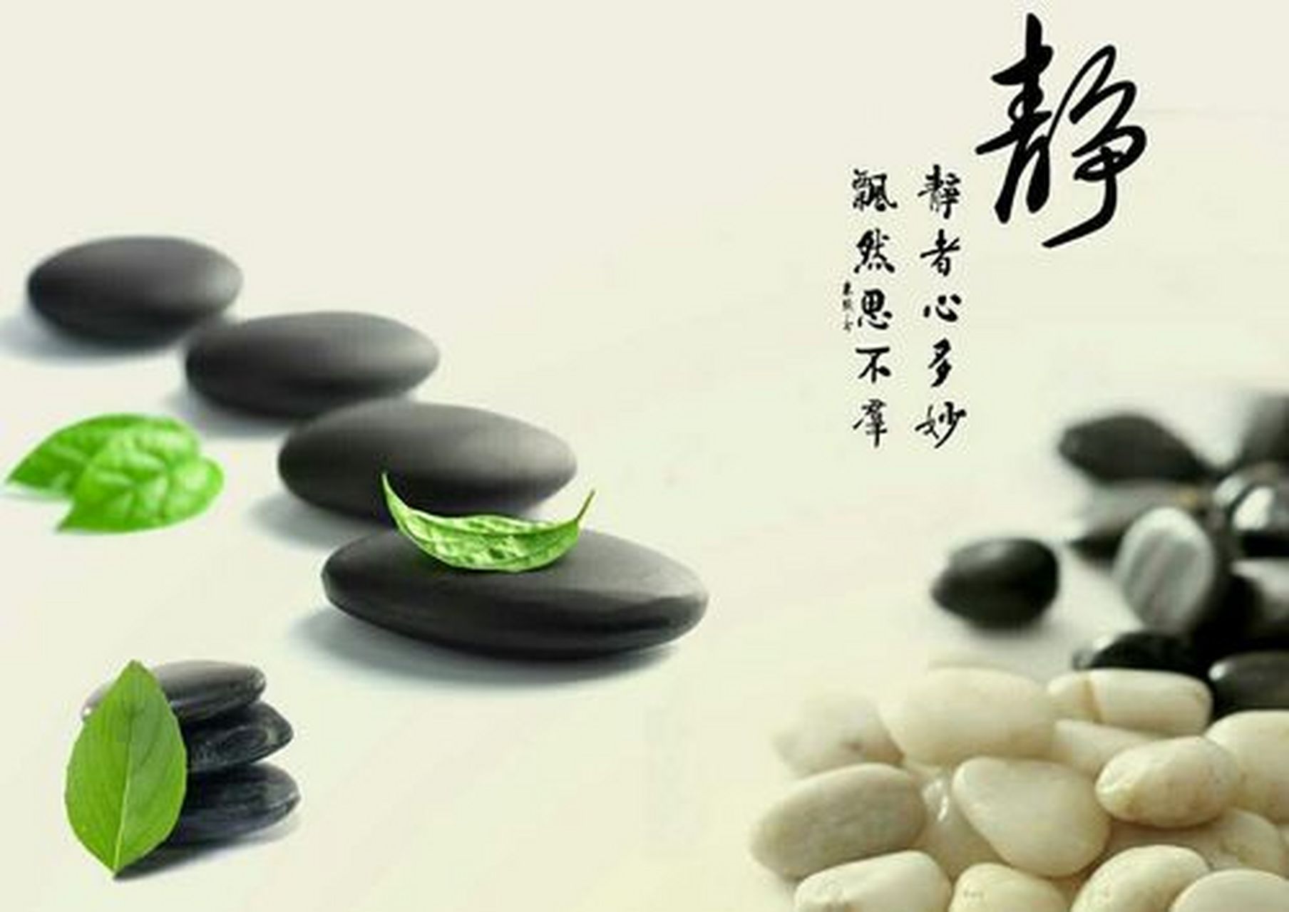 修身的意义不仅在于社会和谐,更在于自我成长.