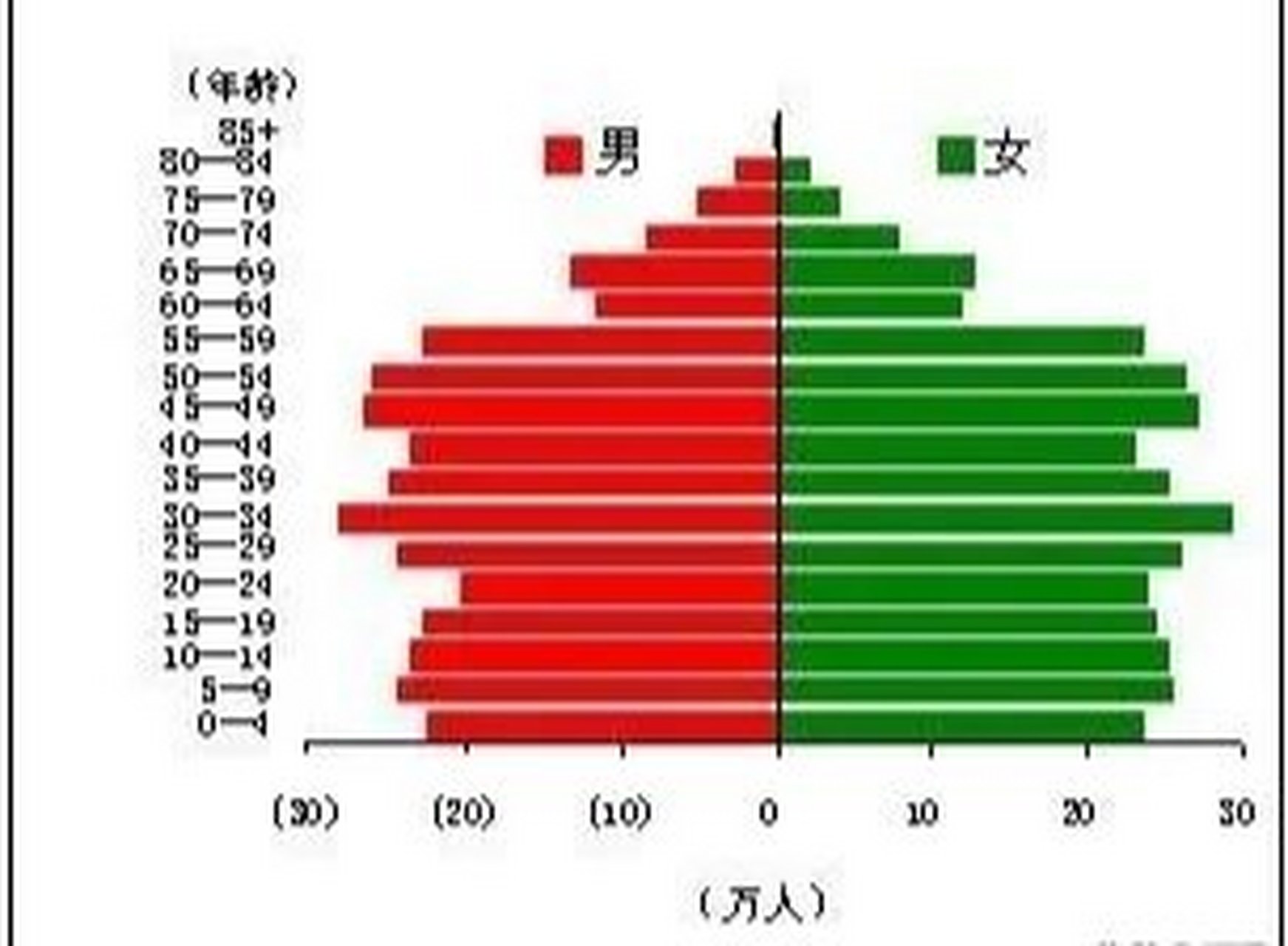 2021年人口结构图图片