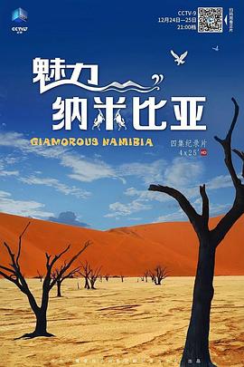 《 魅力纳米比亚》如何让ipad玩网页游戏