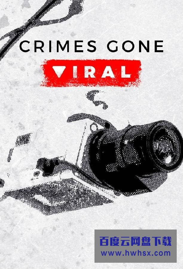 [Crimes Gone Viral 第二季][全集]4K|1080P高清百度网盘