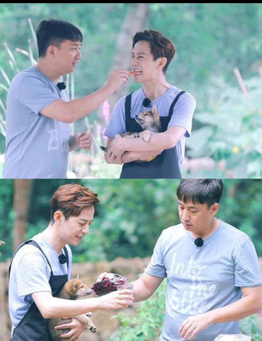 何炅黄磊合照遭质疑,两人假笑空巢老人真相大揭秘!