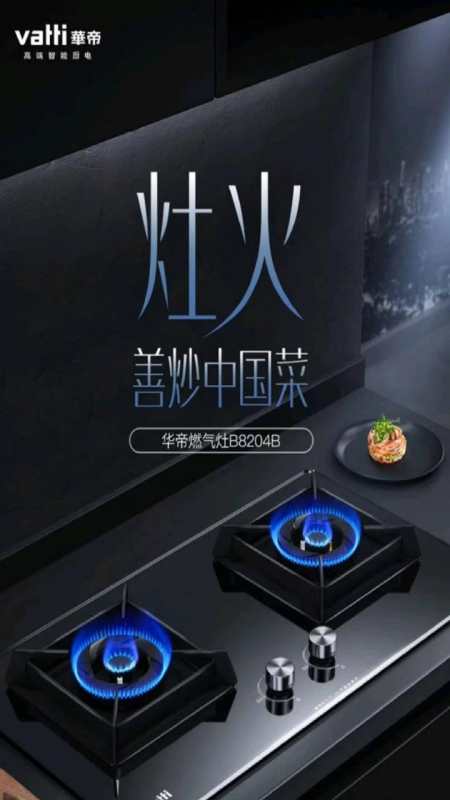 华帝(vatti)b8204b 燃气灶天然气 双灶具 台式灶嵌入式-度小视