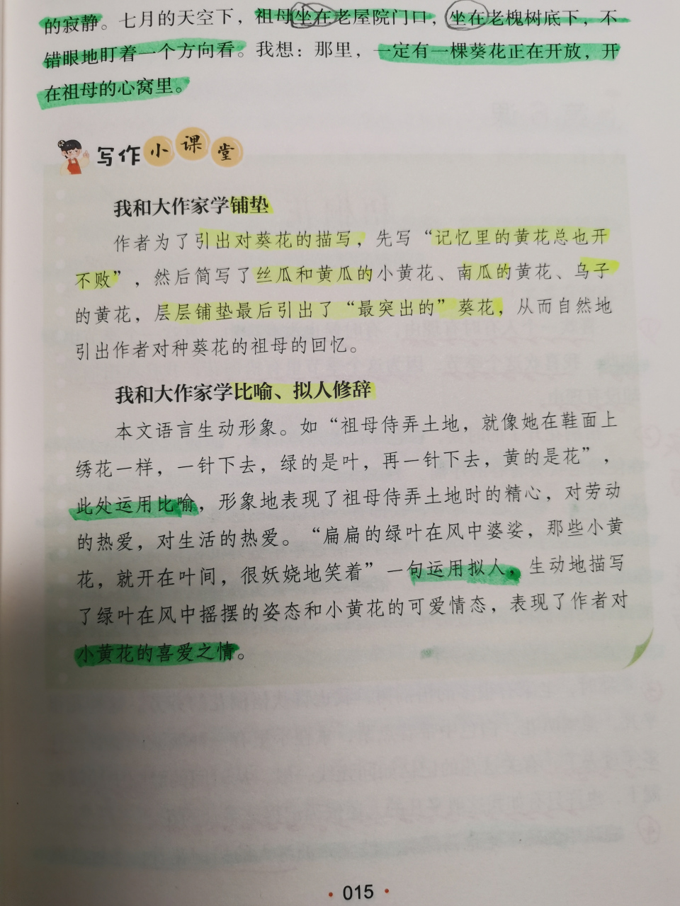 向日葵的样子怎么写图片