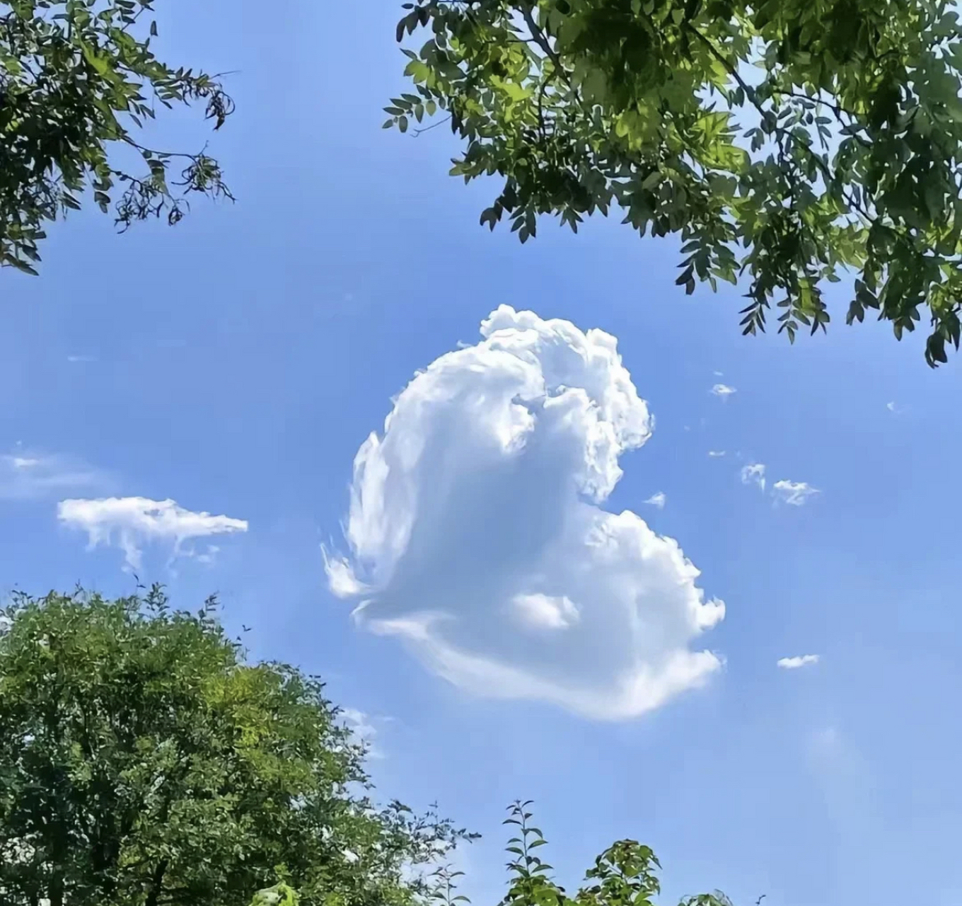 各种各样的云朵图片