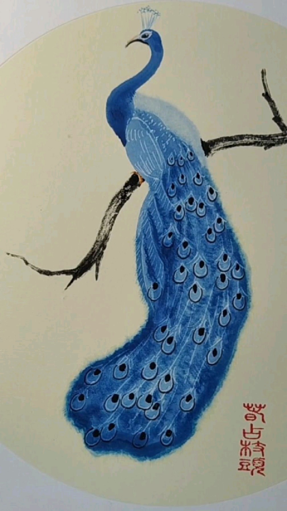 画一只蓝孔雀,一起画画吧!