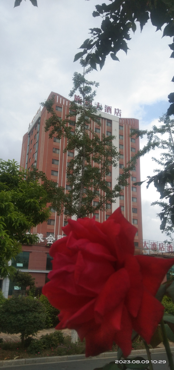 我每天在施甸大酒店的路边过出过进,看的时间长了,也觉平淡无奇,我用