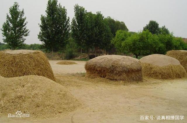 能折腾的丁老二