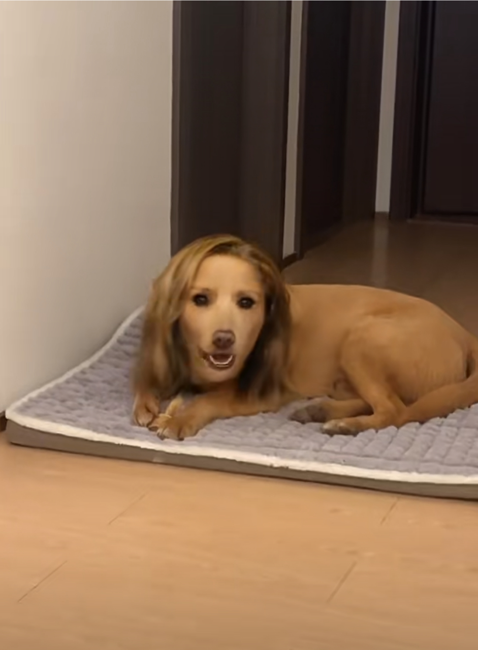 看一眼都瘆得慌,能做出这样的效果,别的不说,内心很强大.