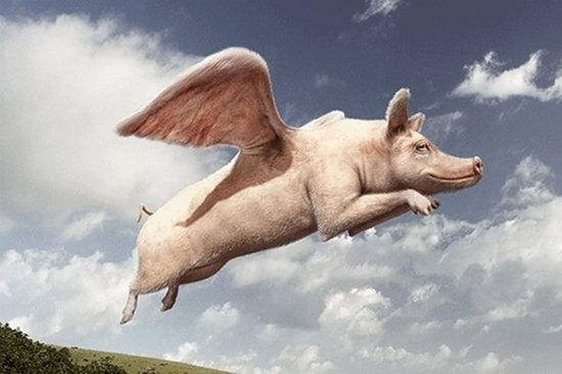 站在风口,猪也会飞!