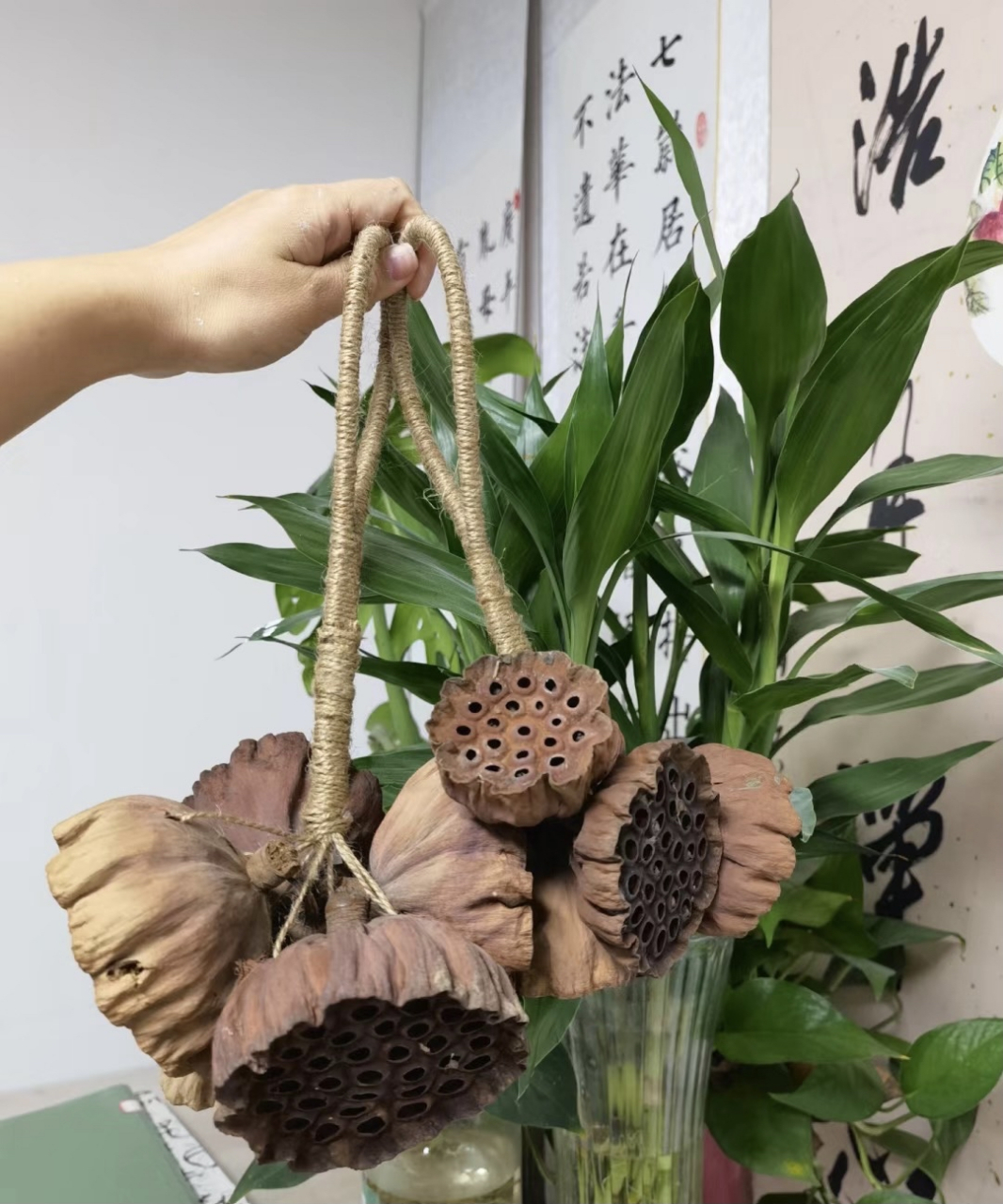 干莲蓬能做些什么呢?