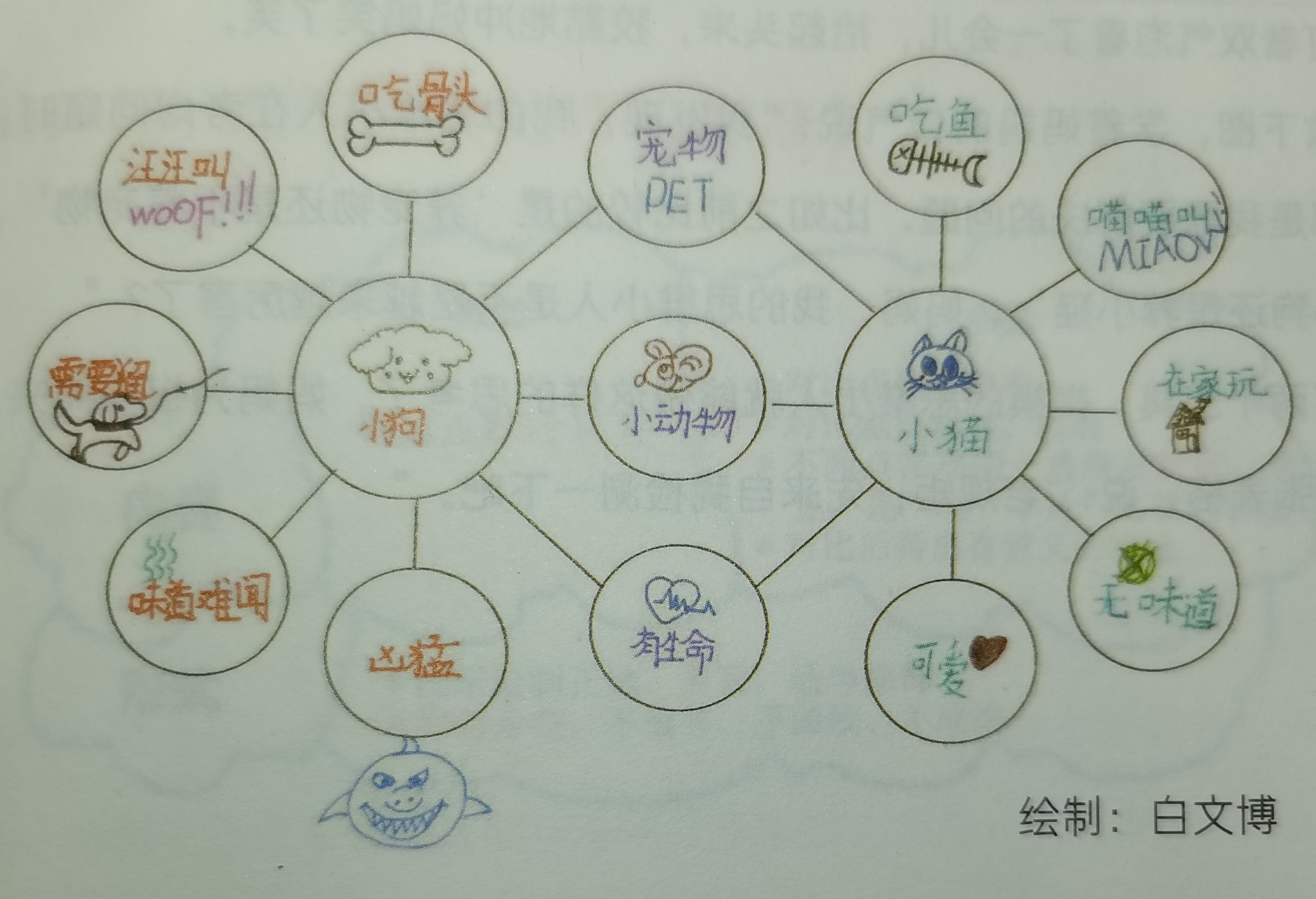 通过前两天的学习我们认识了圆圈图和气泡图