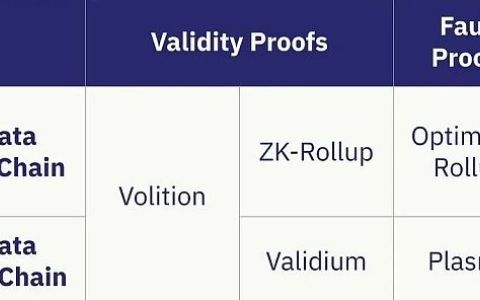 Volitions：在ZK-rollup和Validium之间做选择的零知识证明方案