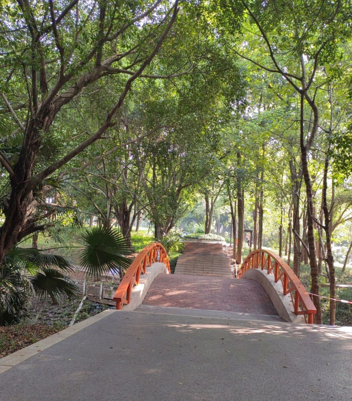 龙湖动步公园是渝北区的一座城市公园,占地100亩,绿化覆盖率达90%