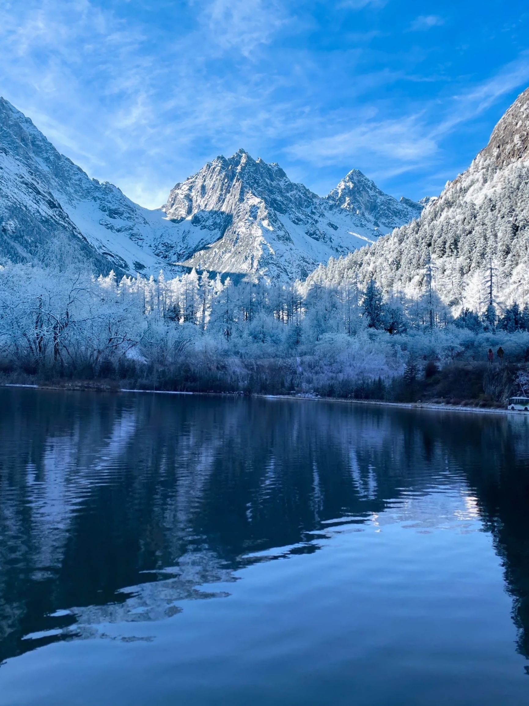 白雪皑皑的川西|冬日毕棚沟,雪山与彩林的浪漫邂逅