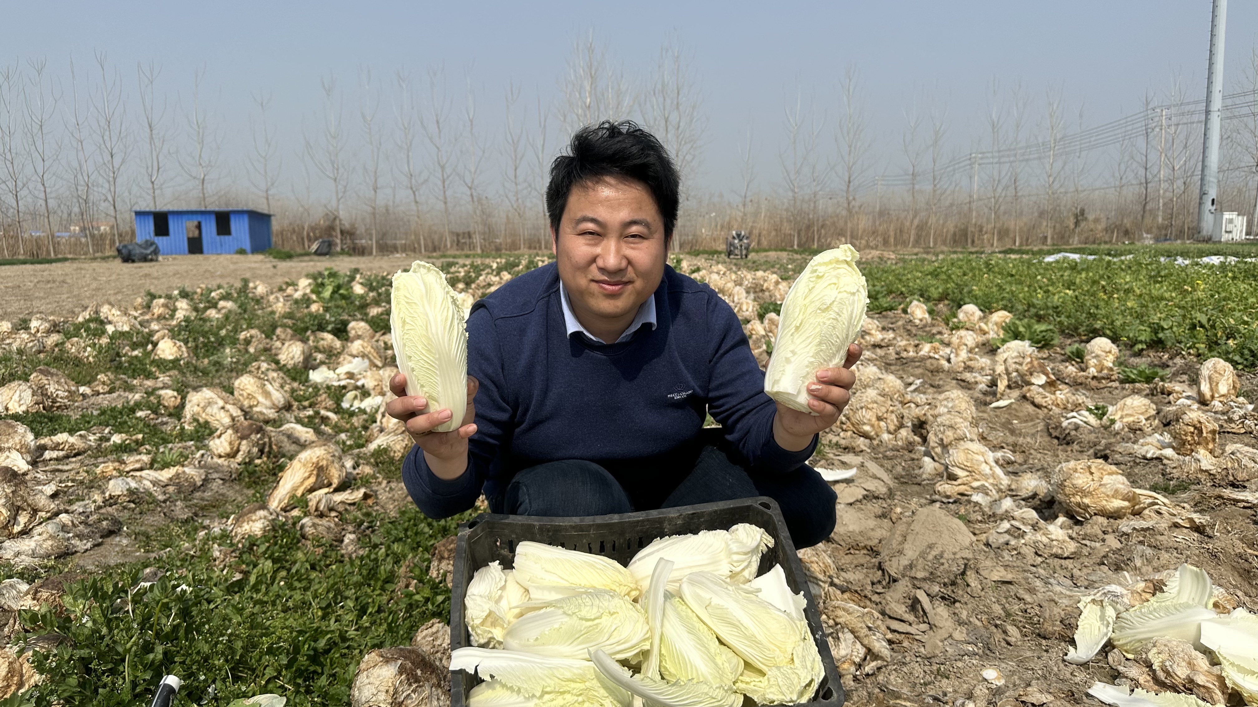 白菜冻了一冬天还能吃不?摘一筐做腌白菜,又香又辣超美味