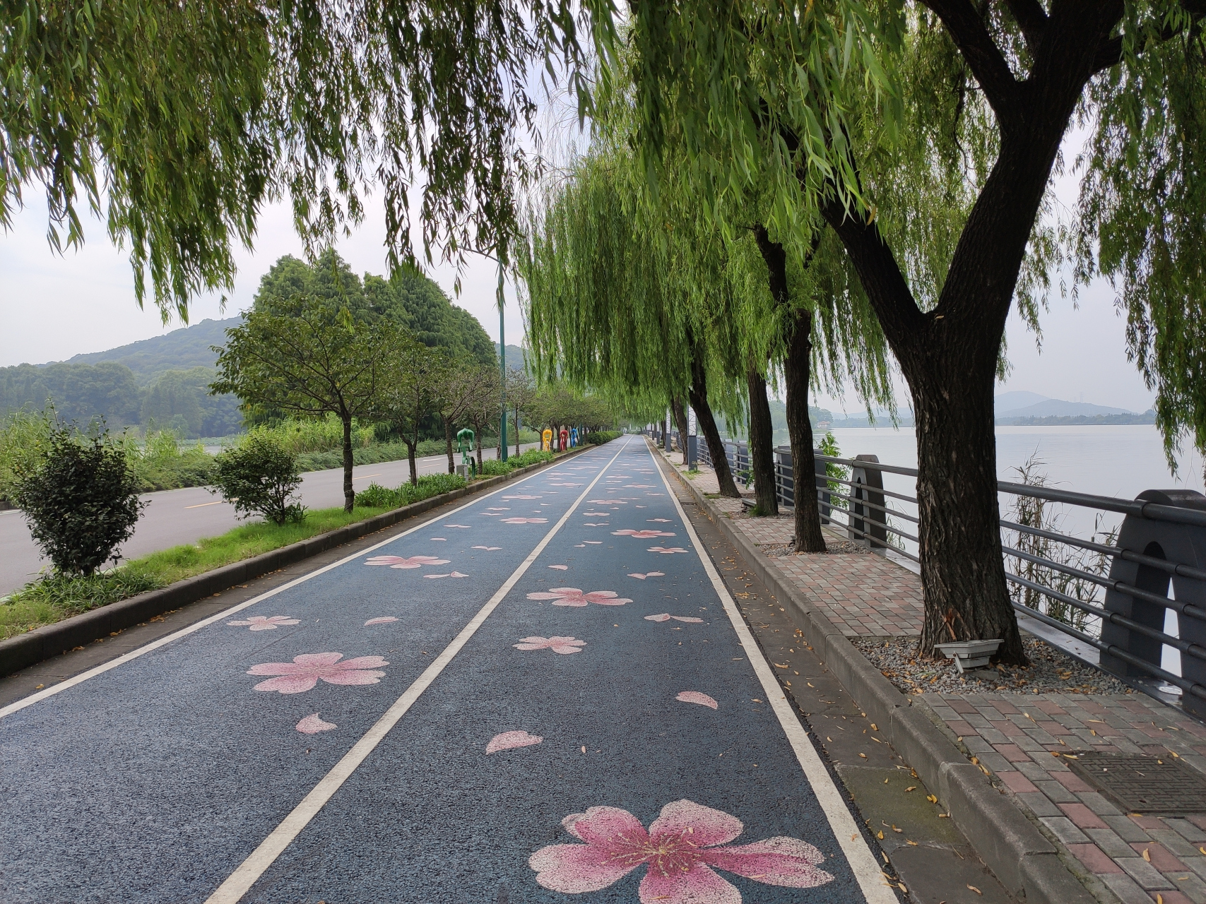 十里芳径 无锡蠡湖十里芳径樱花大道,这里的风景感觉还是挺漂亮的