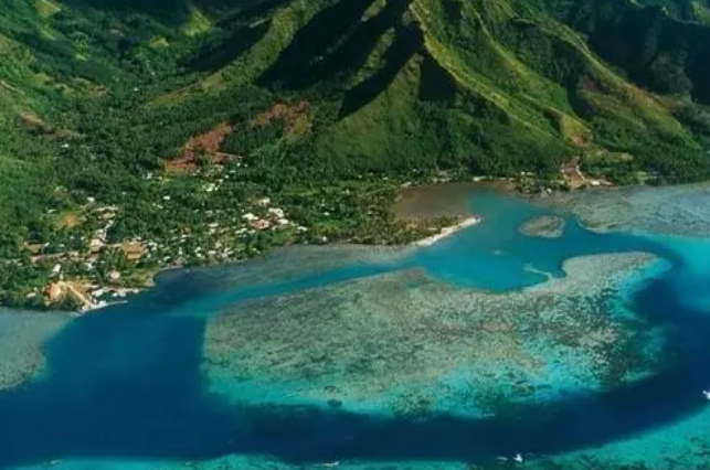 世界杯大洋洲赛区国家