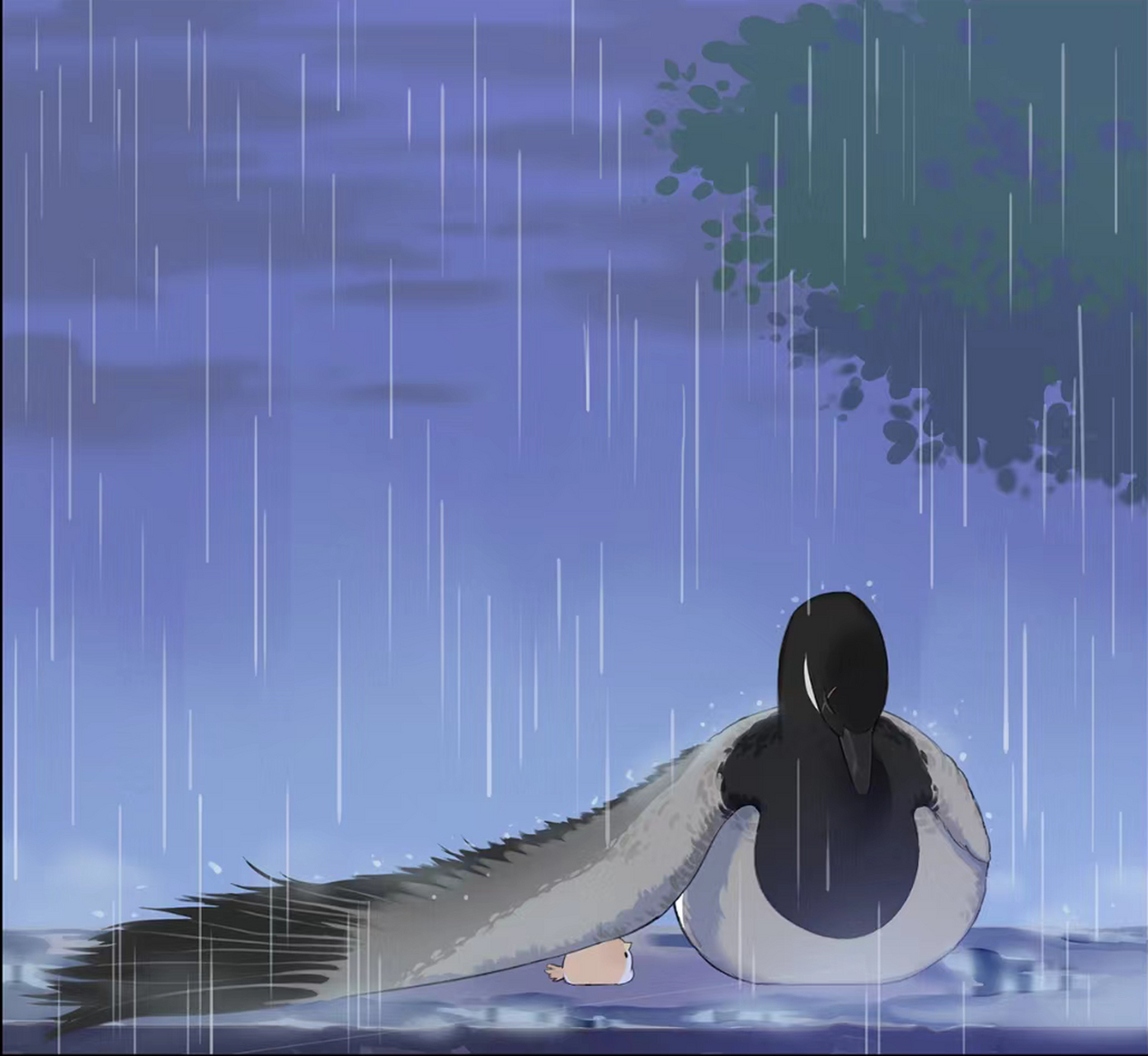 南方的鸟&北方的鸟  画师:阿闷aman  #乐享周末分享吧# #二次元