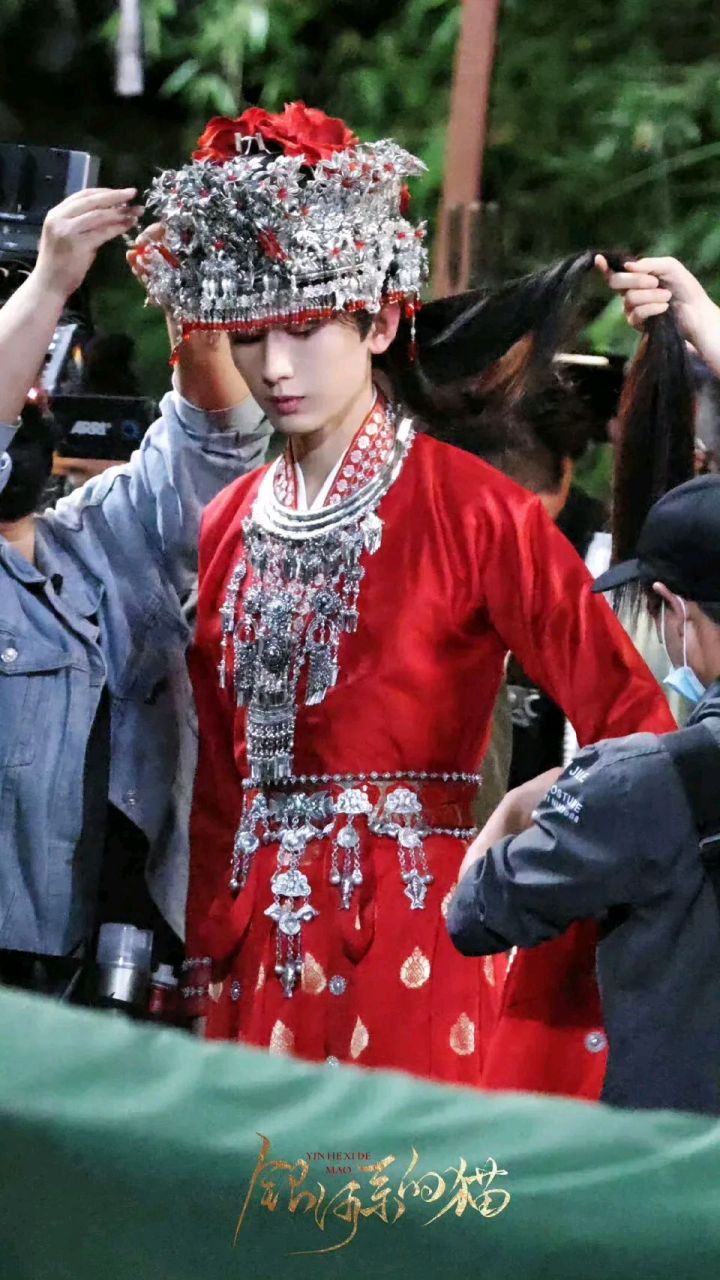 嘿嘿嘿嘿……其实想看《莲花楼》是因为,成毅这个苗疆婚服扮相老漂酿