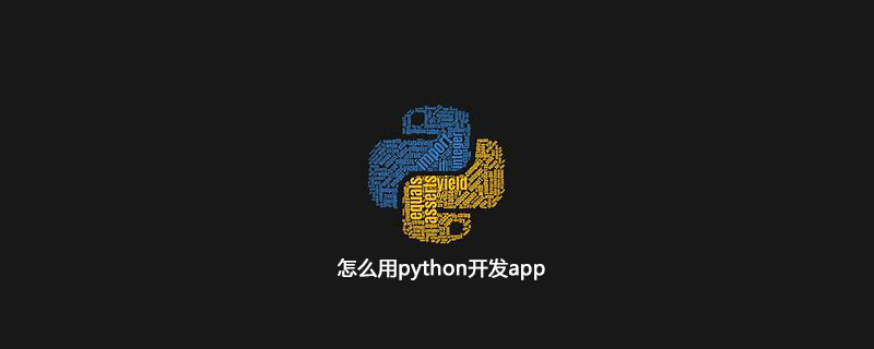 如何使用python开发应用程序