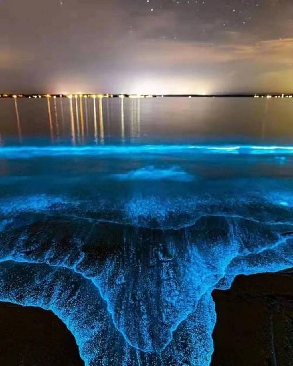 广东海陵岛海滩连日现"蓝眼泪","蓝眼泪"是一种生存在海中的微生物,当