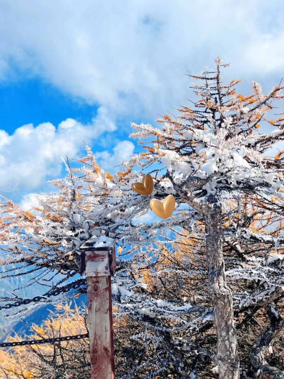 快来太白山感受雪景的魅力吧!
