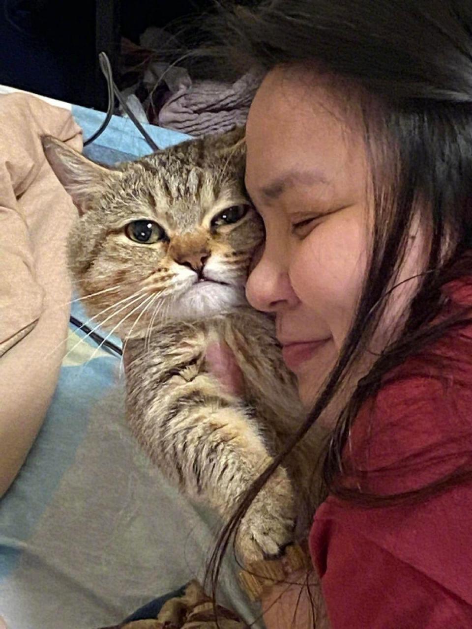 猫咪一副视死如归的表情.