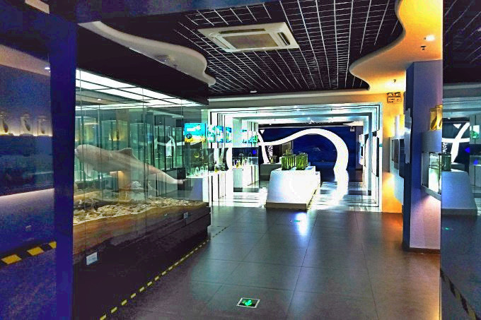 蛇口海洋博物馆