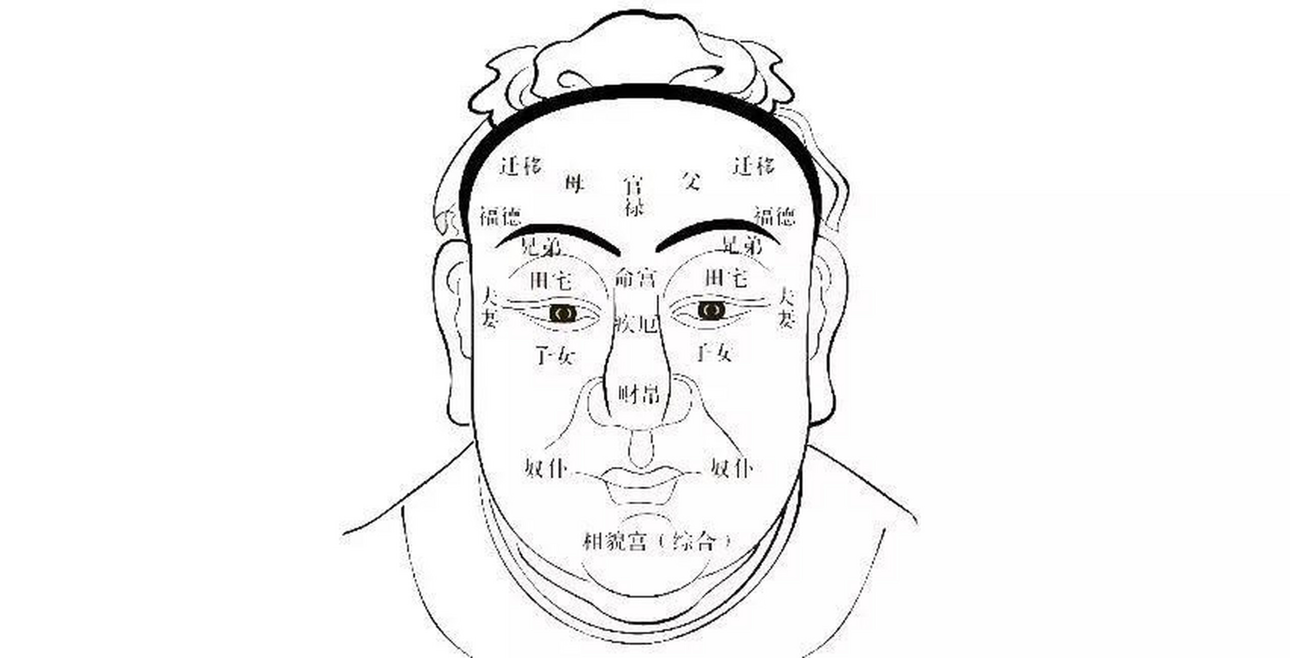 寿相:长生之面相 寿相,即寿命较长的面相.