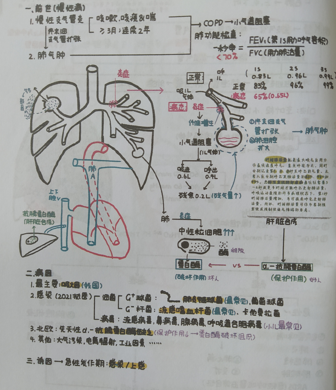 《人体解剖与生理病理知识》一一"慢性阻塞性肺病"的病因,病理,防控