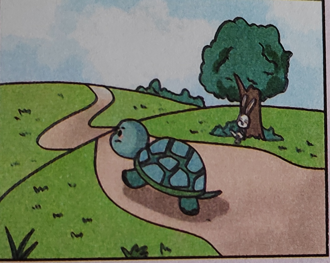 乌龟和兔子赛跑简笔画图片