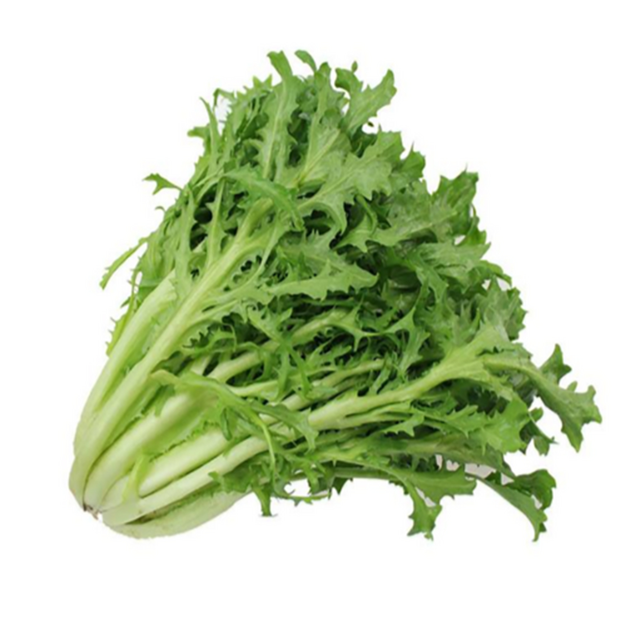 你知道都是什么蔬菜吗?