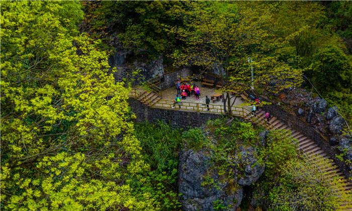 广东清远阳山的神峰关景区避寒胜地,还可以品尝阳山鸡哦!