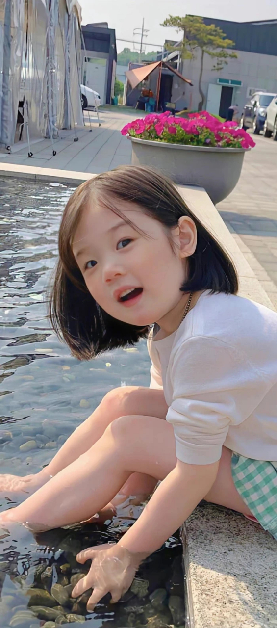 手机壁纸丨金雪小可爱壁纸合集④