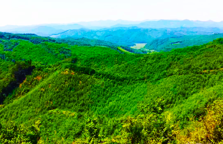 新宾永陵参仙谷景区图片