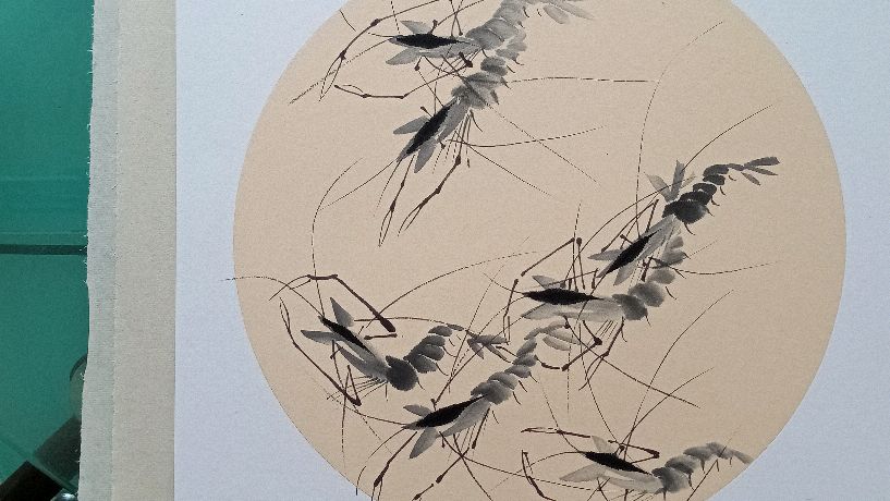 讲解中国画花鸟团扇(虾)构图及墨与色的变化,零基础学画画